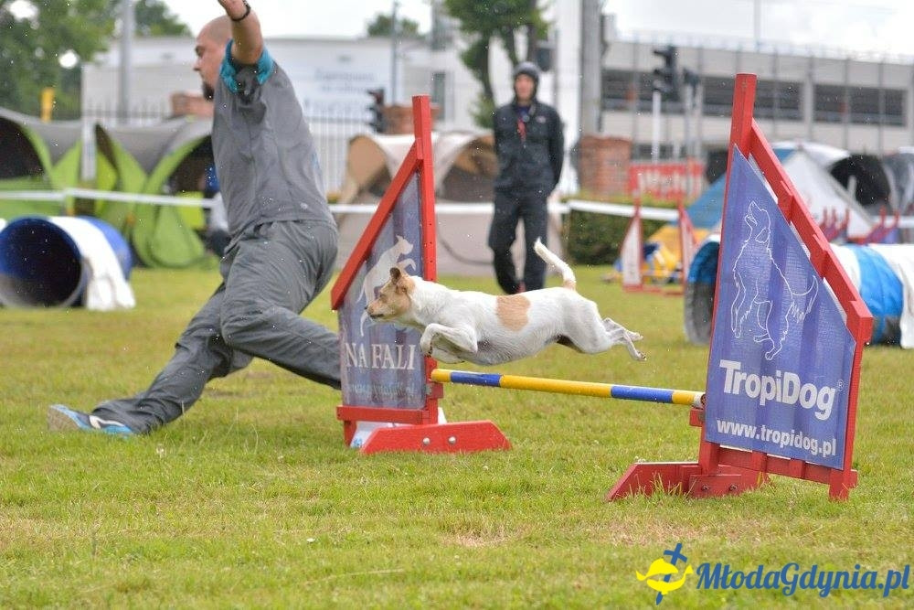 Puchar Bursztynowego Psa 15.07.17.