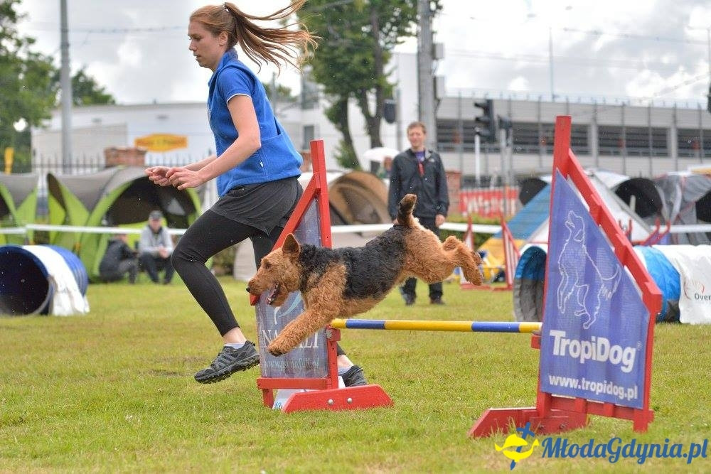 Puchar Bursztynowego Psa 15.07.17.