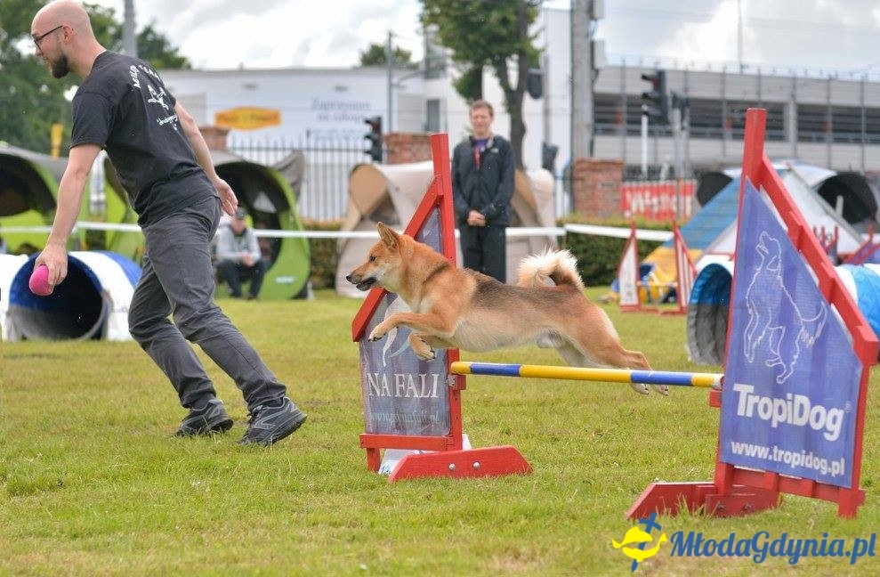 Puchar Bursztynowego Psa 15.07.17.