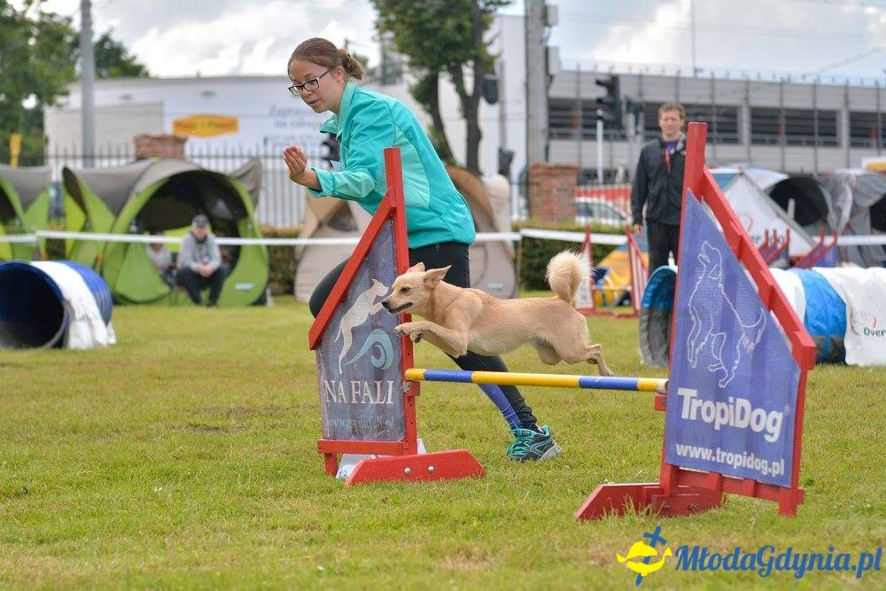 Puchar Bursztynowego Psa 15.07.17.