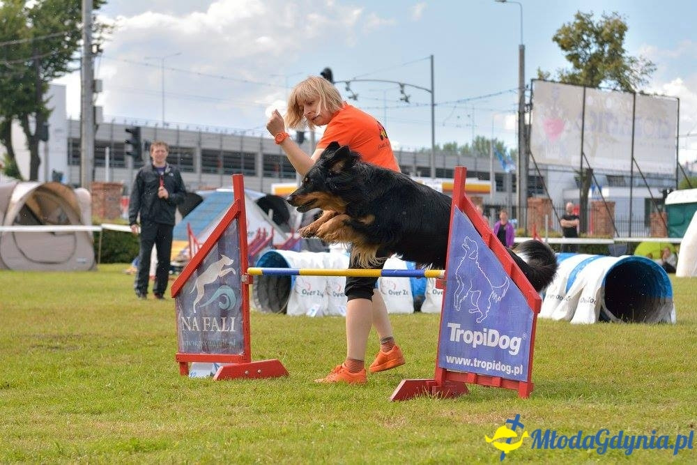 Puchar Bursztynowego Psa 15.07.17.