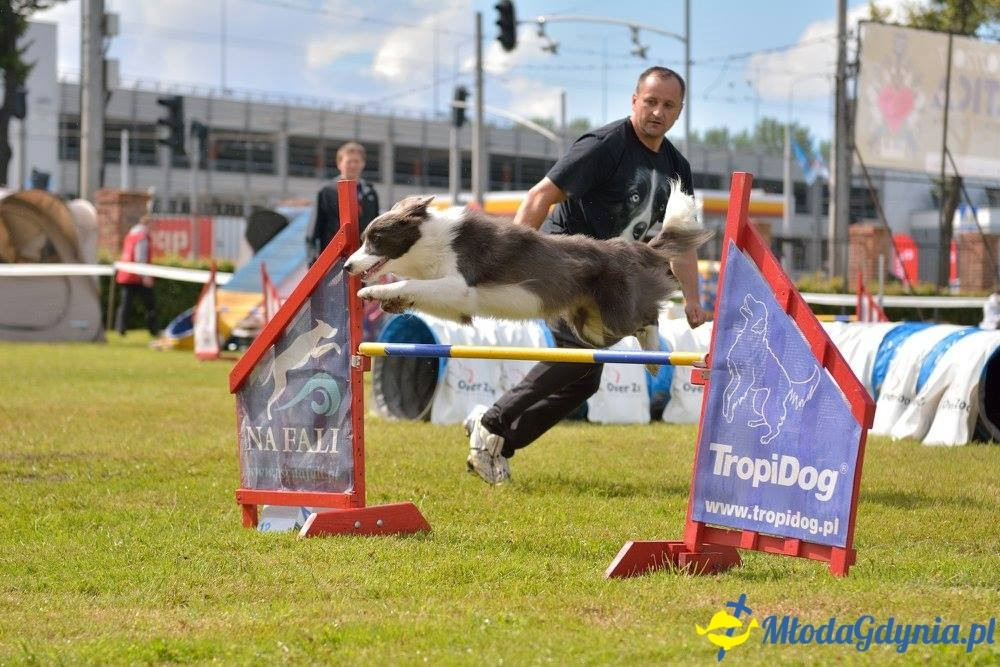 Puchar Bursztynowego Psa 15.07.17.