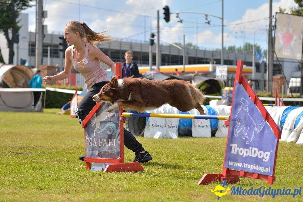 Puchar Bursztynowego Psa 15.07.17.