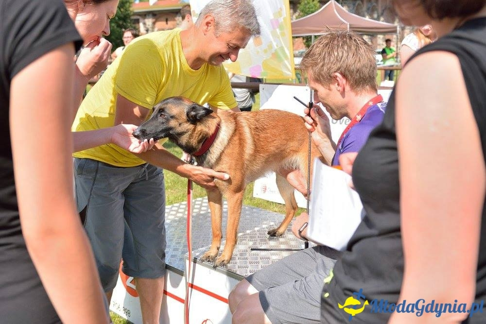 Puchar Bursztynowego Psa 15.07.17.