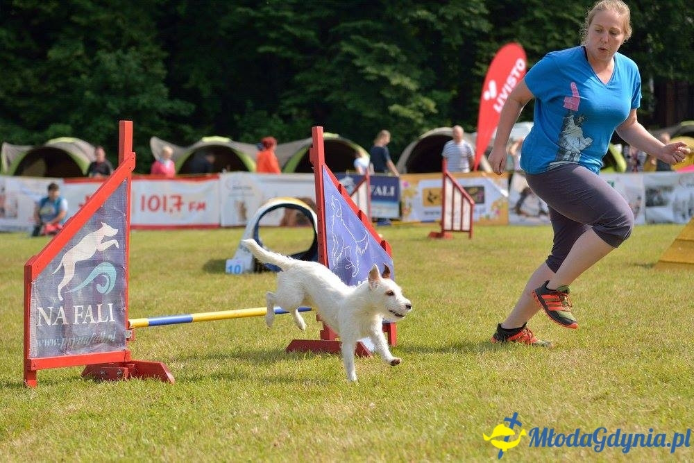 Puchar Bursztynowego Psa 15.07.17.