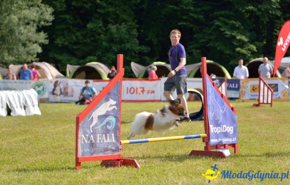 Puchar Bursztynowego Psa 15.07.17.