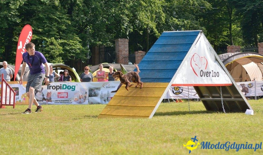 Puchar Bursztynowego Psa 15.07.17.