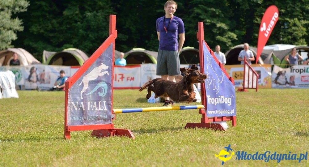 Puchar Bursztynowego Psa 15.07.17.
