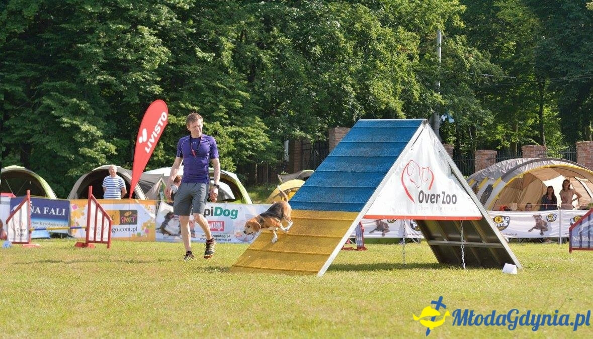 Puchar Bursztynowego Psa 15.07.17.