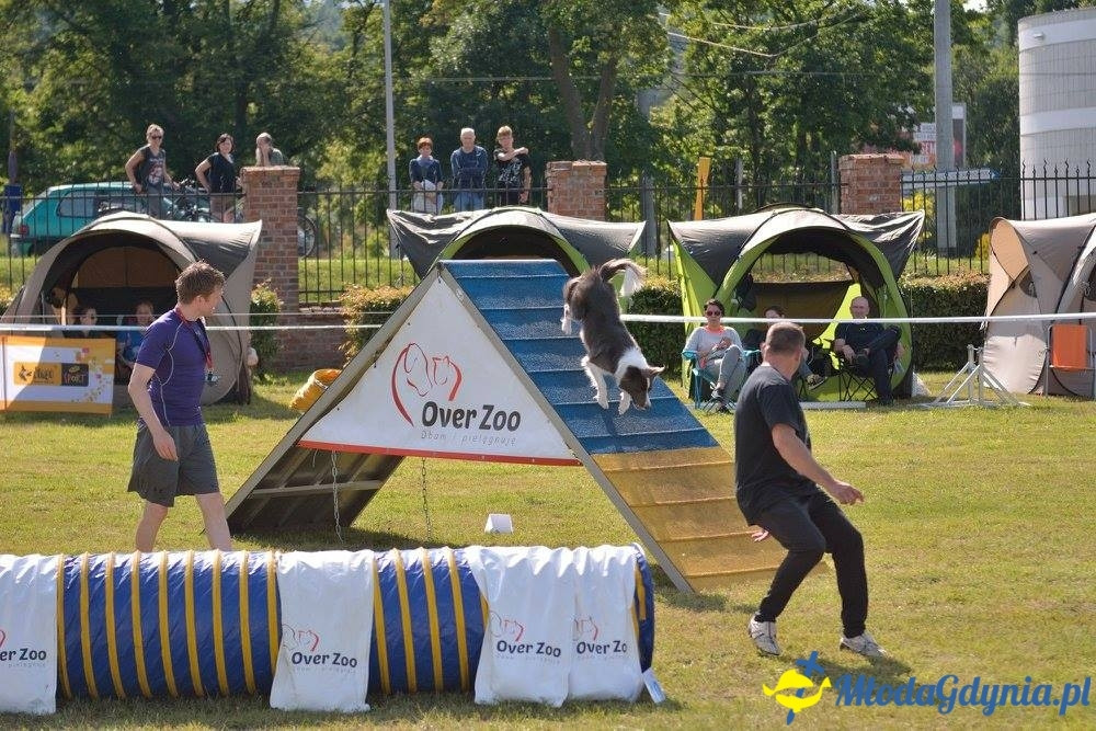 Puchar Bursztynowego Psa 15.07.17.