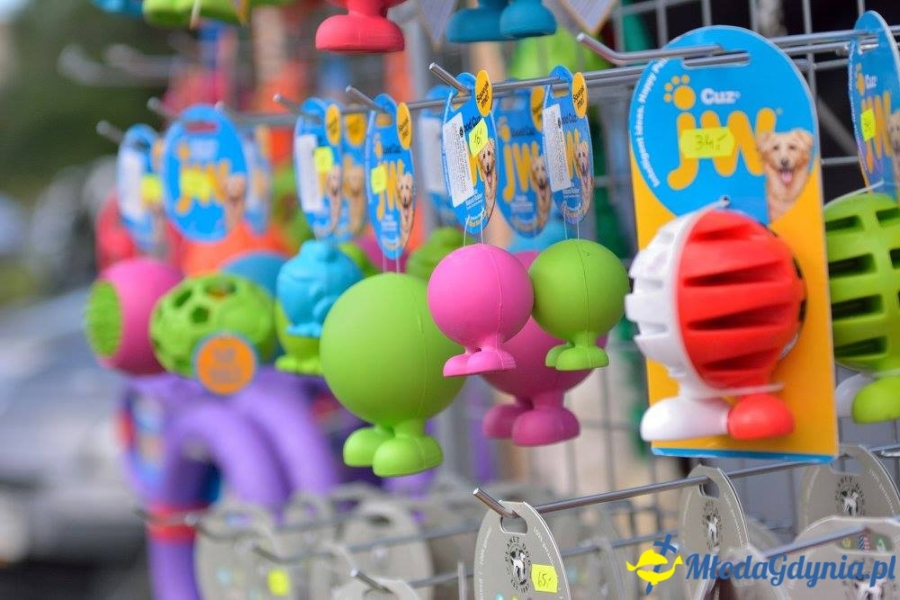 Puchar Bursztynowego Psa 15.07.17.