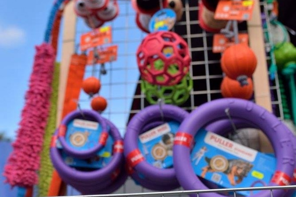 Puchar Bursztynowego Psa 15.07.17.