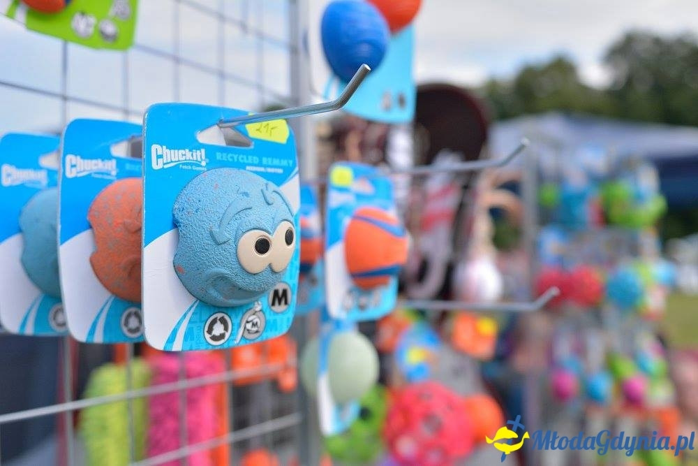 Puchar Bursztynowego Psa 15.07.17.