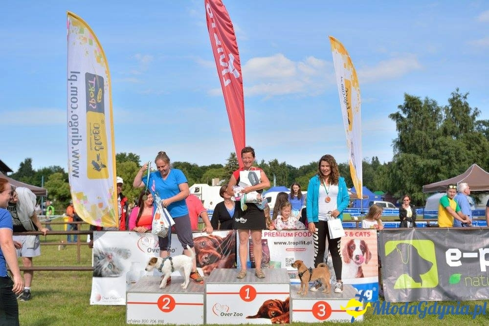 Puchar Bursztynowego Psa 15.07.17.