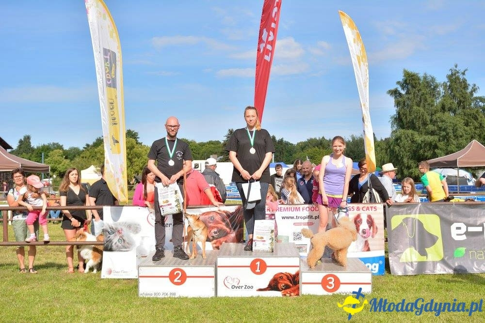 Puchar Bursztynowego Psa 15.07.17.