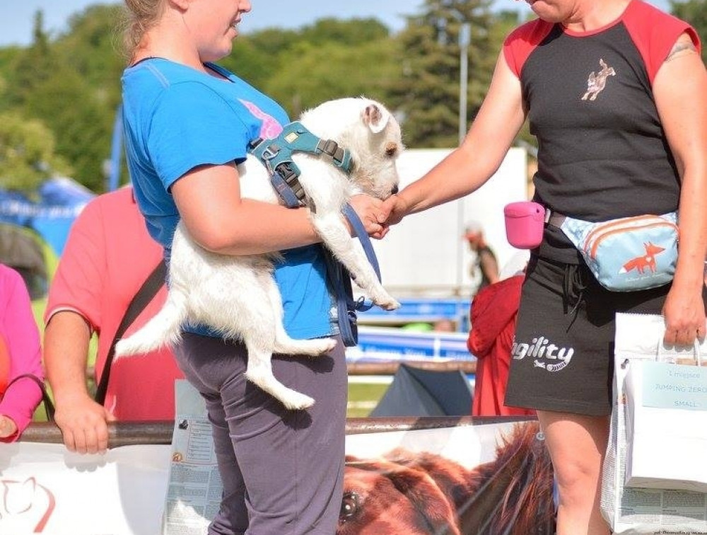 Puchar Bursztynowego Psa 15.07.17.