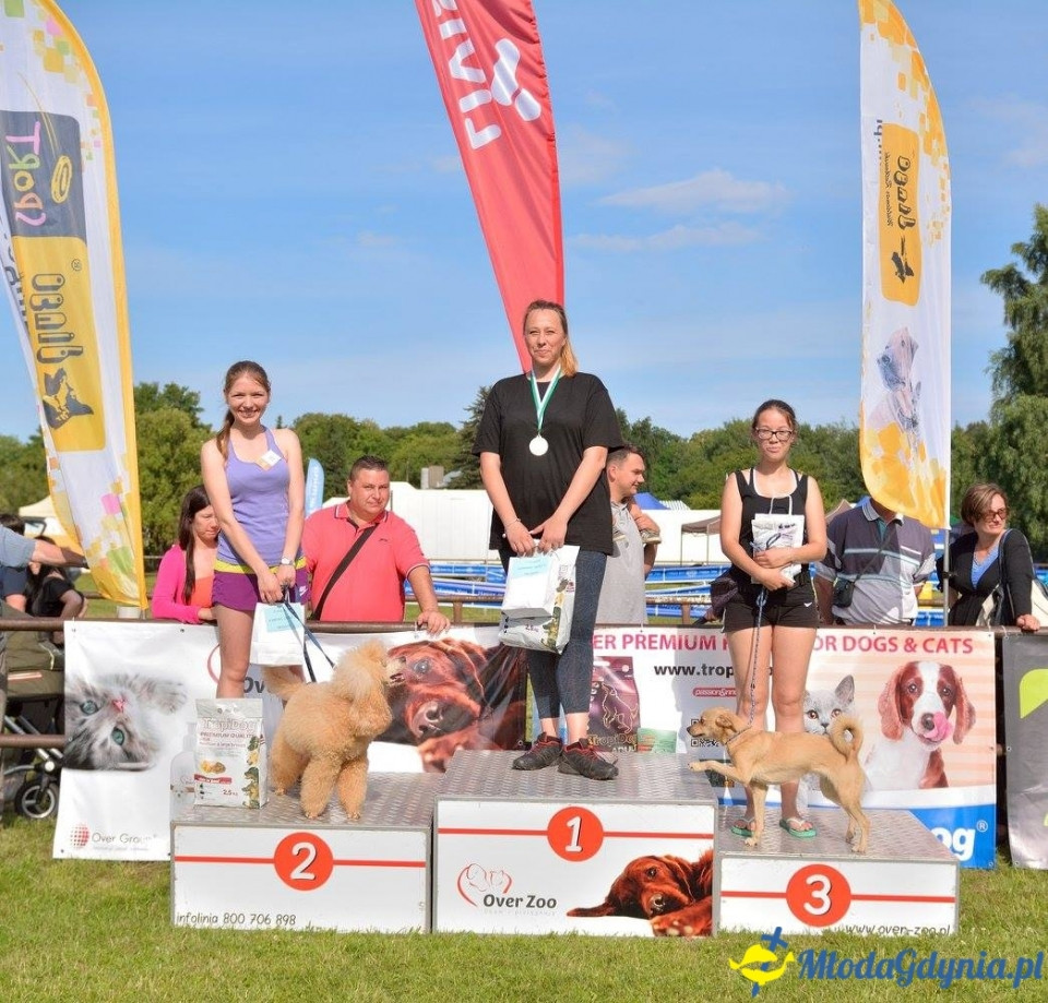Puchar Bursztynowego Psa 15.07.17.