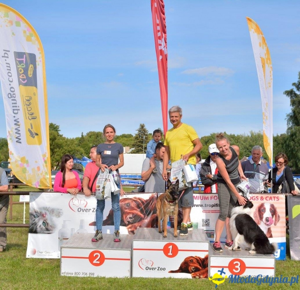 Puchar Bursztynowego Psa 15.07.17.