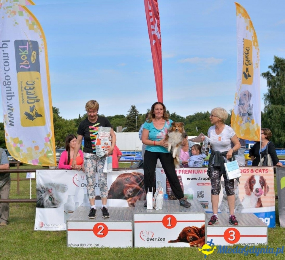 Puchar Bursztynowego Psa 15.07.17.