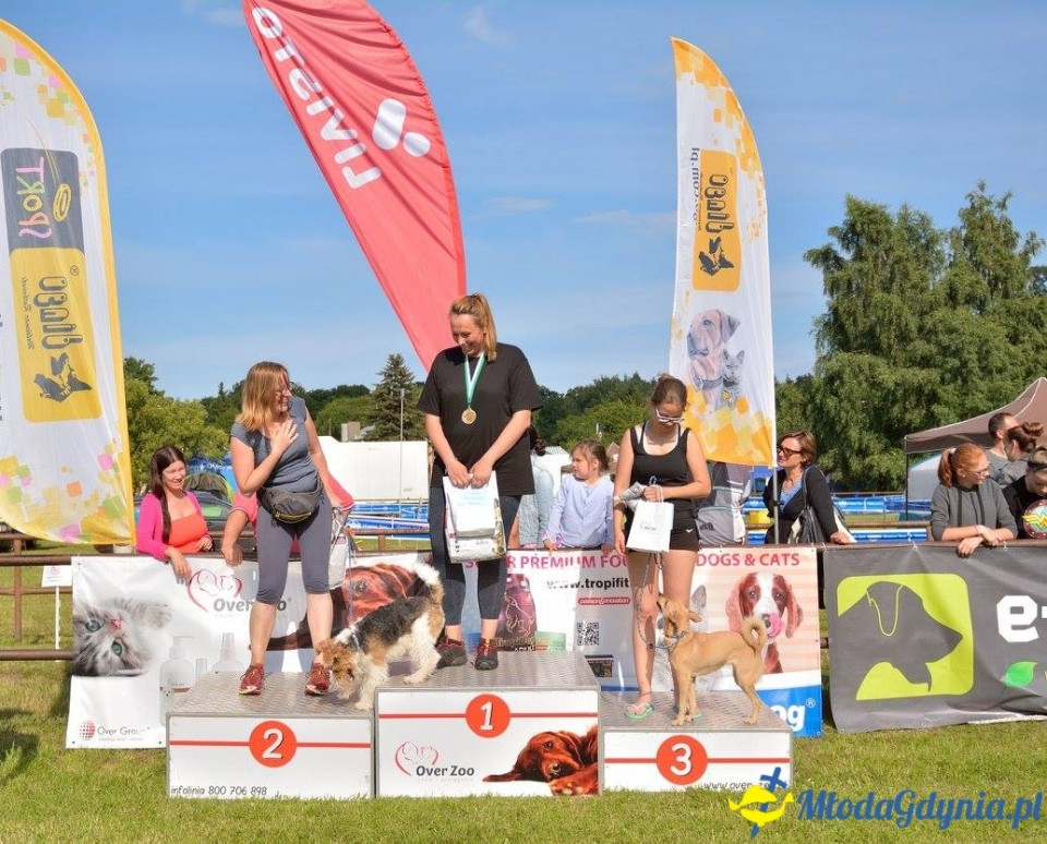 Puchar Bursztynowego Psa 15.07.17.