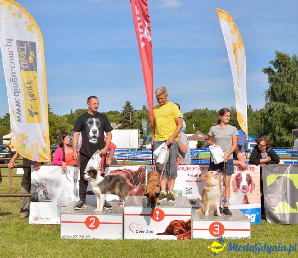 Puchar Bursztynowego Psa 15.07.17.