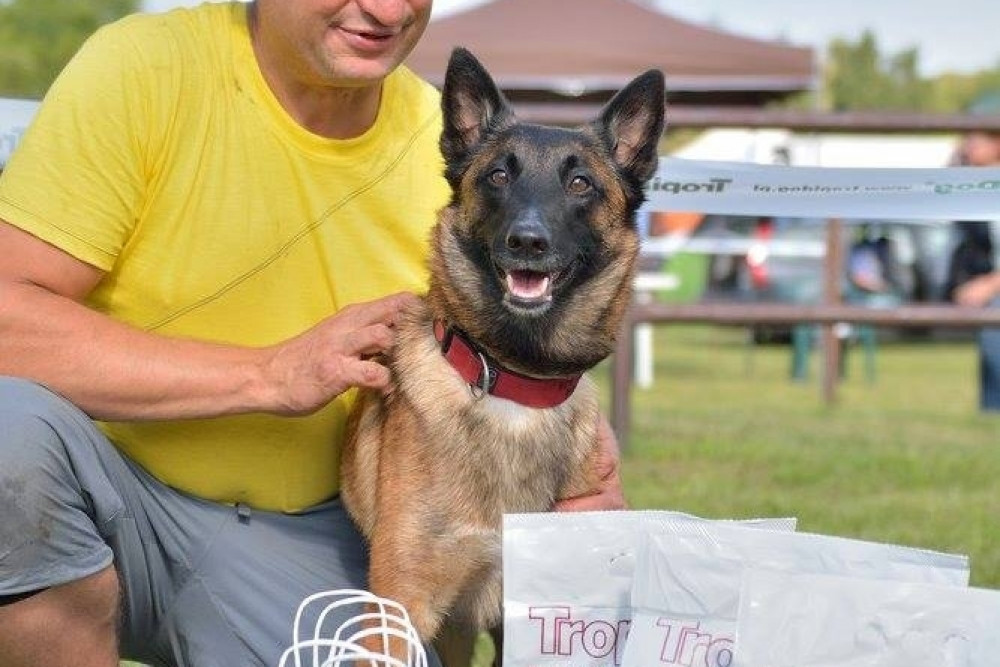 Puchar Bursztynowego Psa 15.07.17.