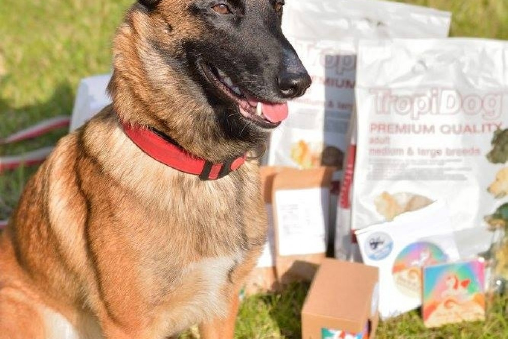 Puchar Bursztynowego Psa 15.07.17.