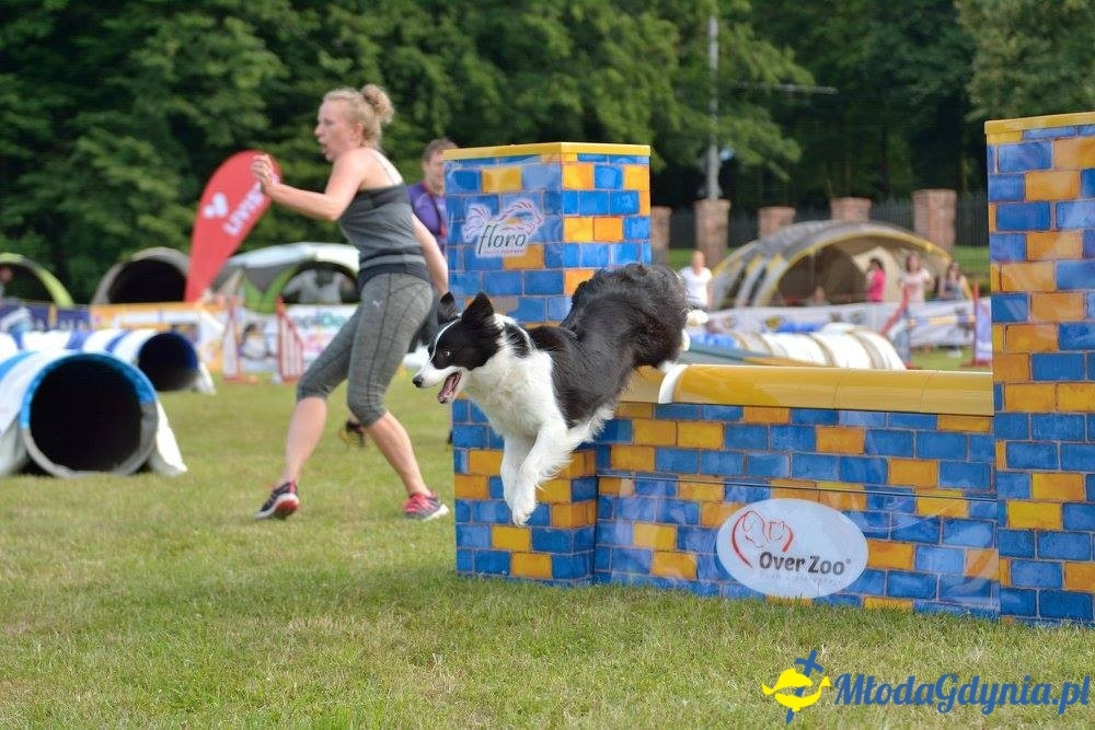 Puchar Bursztynowego Psa 15.07.17.