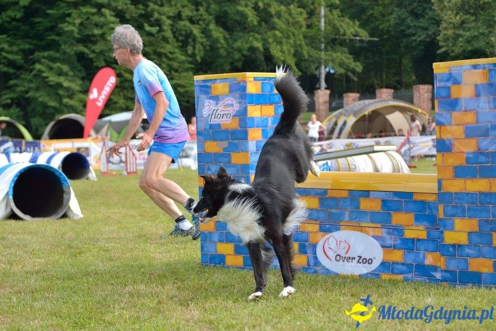 Puchar Bursztynowego Psa 15.07.17.