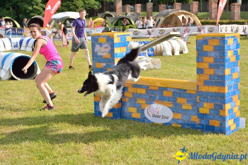 Puchar Bursztynowego Psa 15.07.17.