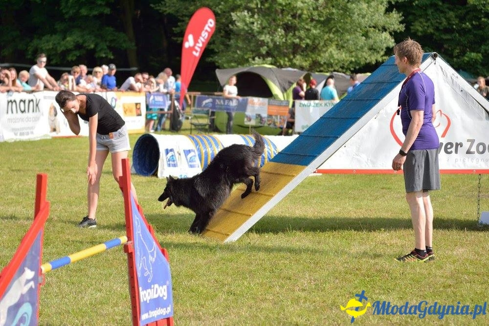 Puchar Bursztynowego Psa 15.07.17.