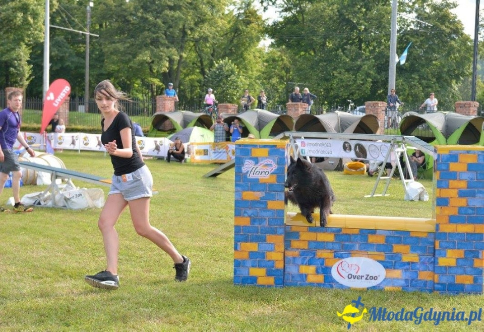 Puchar Bursztynowego Psa 15.07.17.