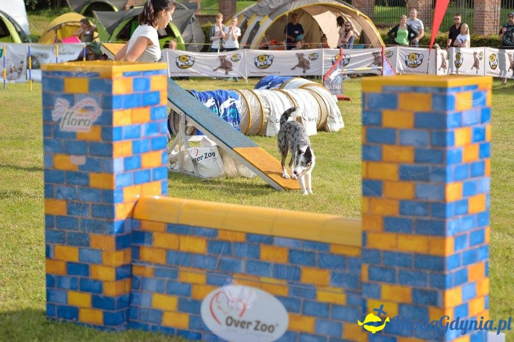 Puchar Bursztynowego Psa 15.07.17.