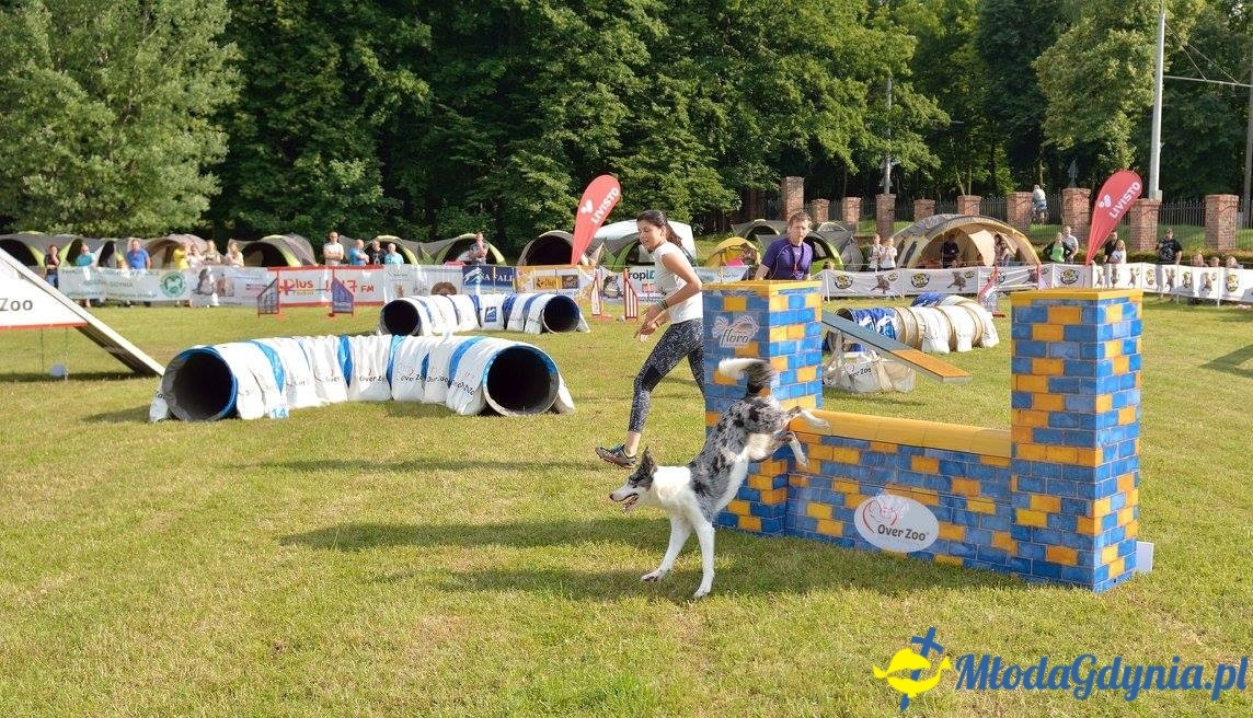 Puchar Bursztynowego Psa 15.07.17.