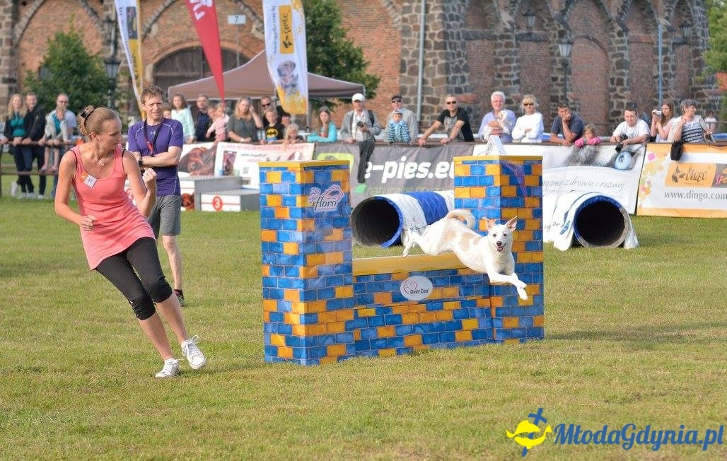 Puchar Bursztynowego Psa 15.07.17.