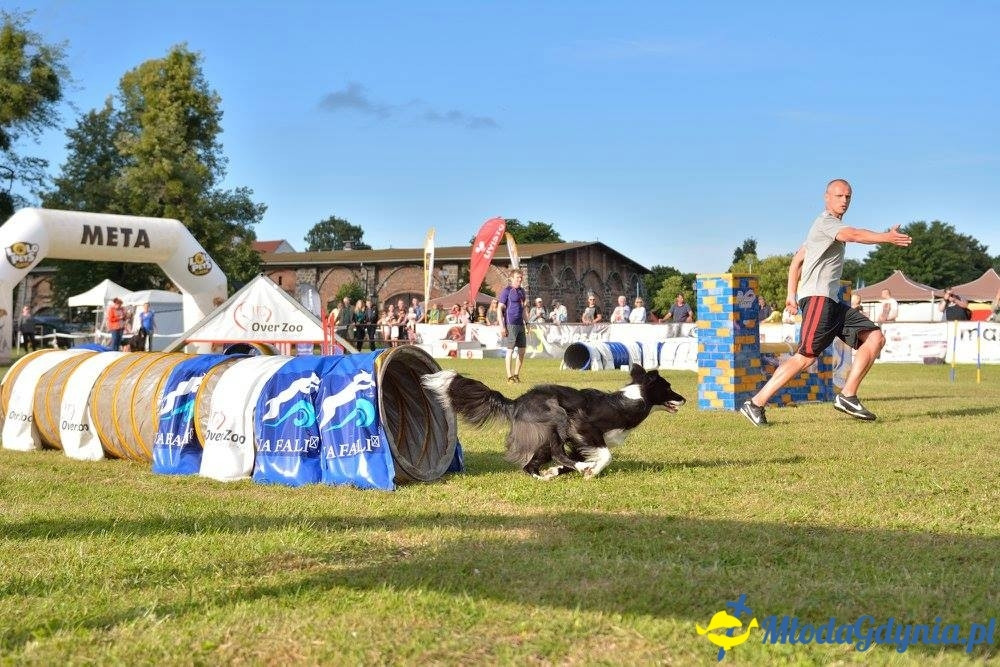 Puchar Bursztynowego Psa 15.07.17.