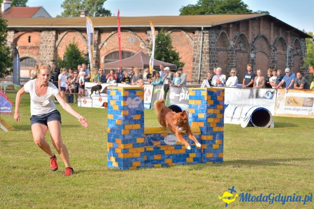 Puchar Bursztynowego Psa 15.07.17.