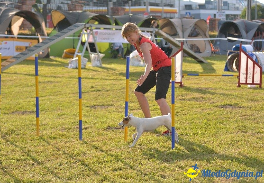 Puchar Bursztynowego Psa 15.07.17.