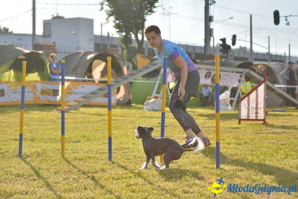 Puchar Bursztynowego Psa 15.07.17.