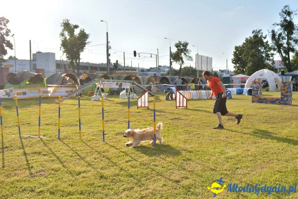 Puchar Bursztynowego Psa 15.07.17.