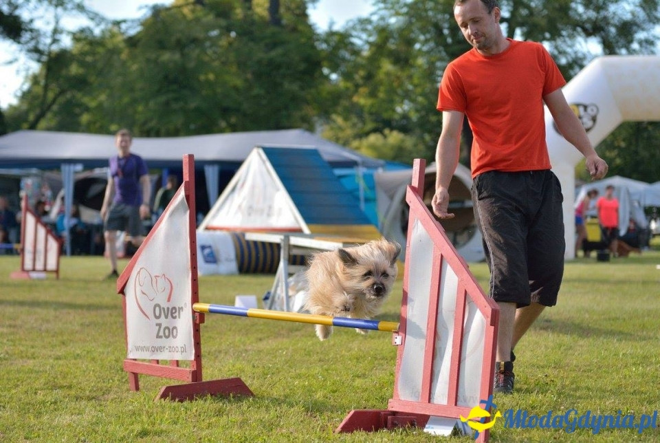 Puchar Bursztynowego Psa 15.07.17.