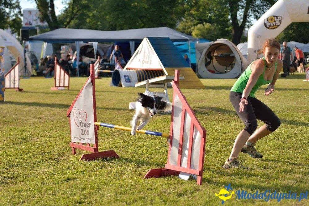 Puchar Bursztynowego Psa 15.07.17.