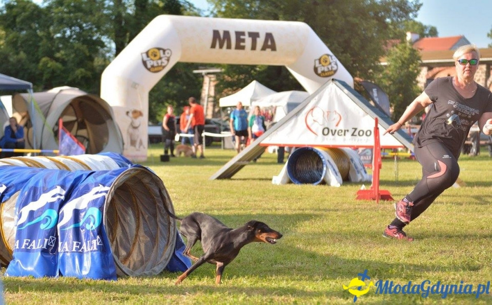Puchar Bursztynowego Psa 15.07.17.