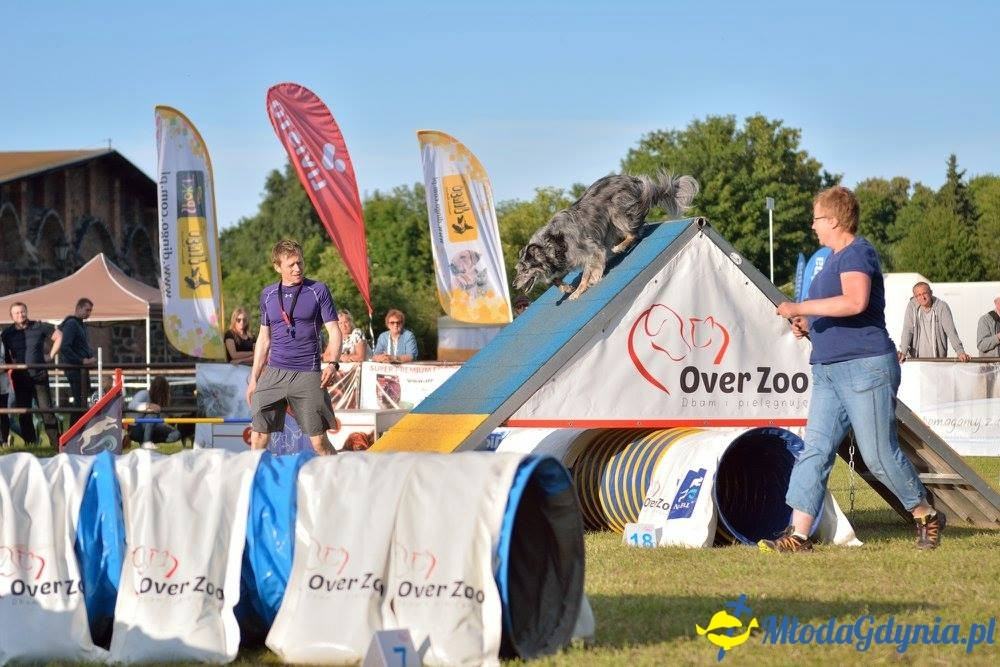 Puchar Bursztynowego Psa 15.07.17.