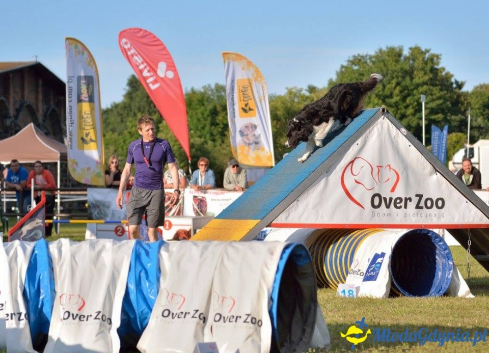 Puchar Bursztynowego Psa 15.07.17.