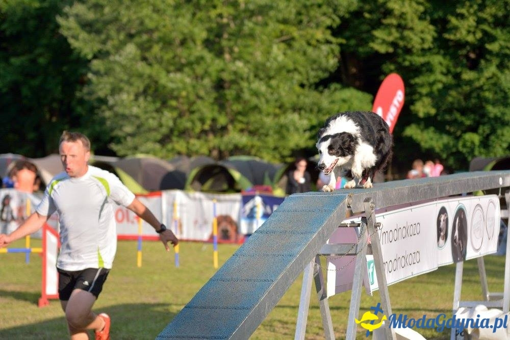 Puchar Bursztynowego Psa 15.07.17.
