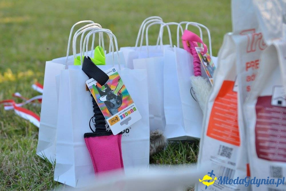 Puchar Bursztynowego Psa 15.07.17.