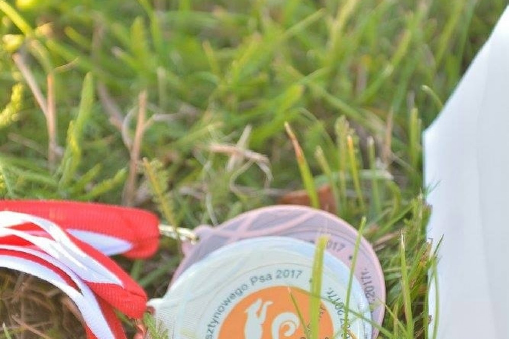 Puchar Bursztynowego Psa 15.07.17.