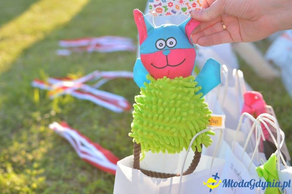 Puchar Bursztynowego Psa 15.07.17.