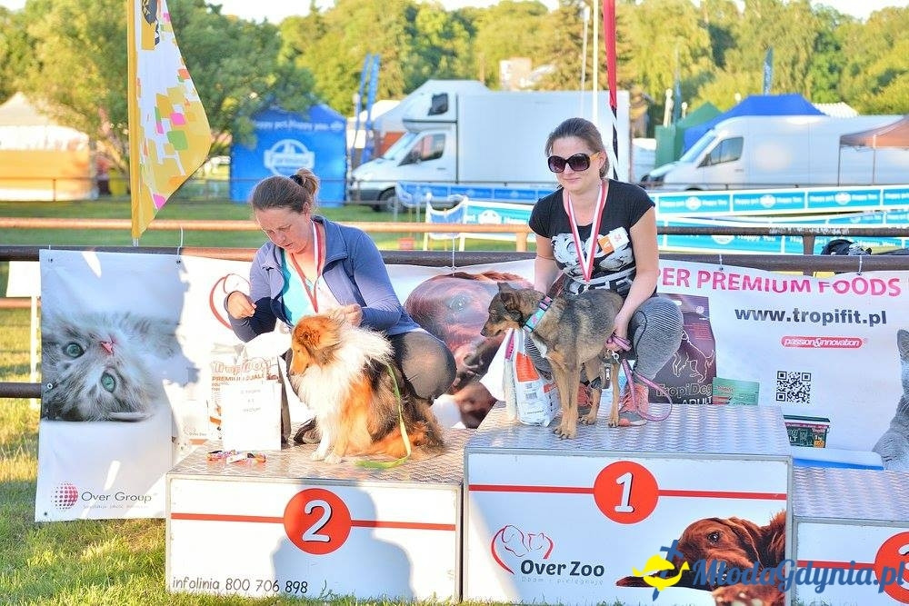 Puchar Bursztynowego Psa 15.07.17.